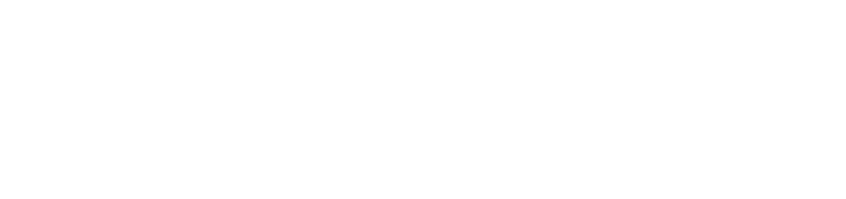 WAMICO